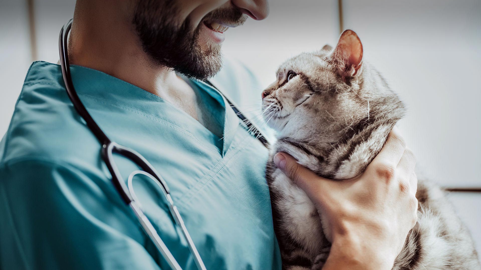 Mustafakemalpaşa Veteriner